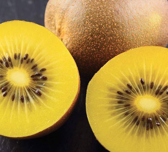 KIWI GIALLO ACTINIDIA CHINENSIS (FEMMINA)